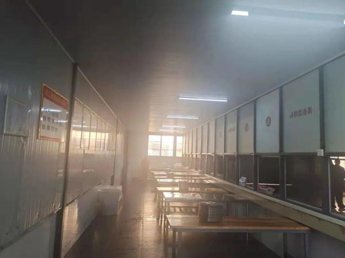 阜城兩所學校食堂突擊檢查結果曝光 守護學生餐桌安全，法圖信息傳遞監管決心